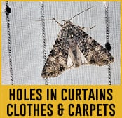 holes clothes curtains