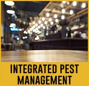integrated-pest-management