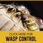 WASP Control