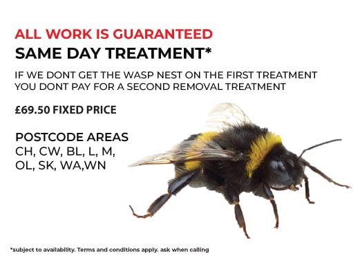 Bowdon Bumblebee Nest Removal £69.50