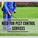Withington Need For Pest Control Services